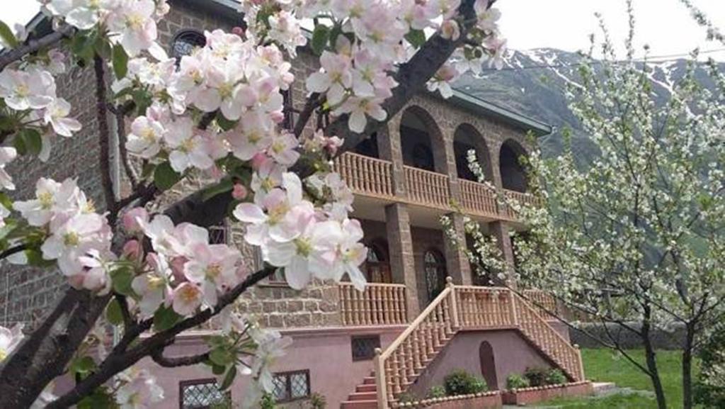 Max Hotel Gogi Alibegashvili Kazbegi Exterior foto