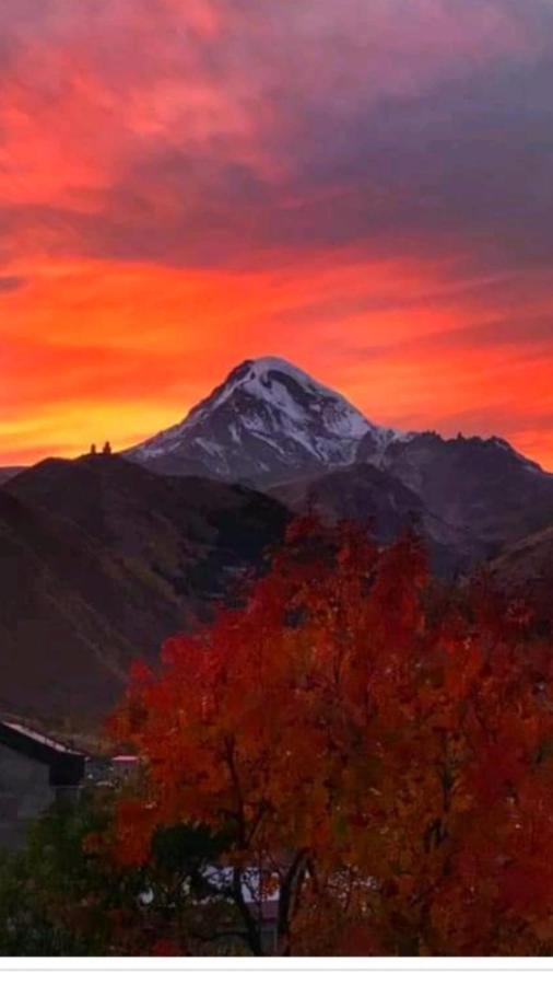 Max Hotel Gogi Alibegashvili Kazbegi Exterior foto